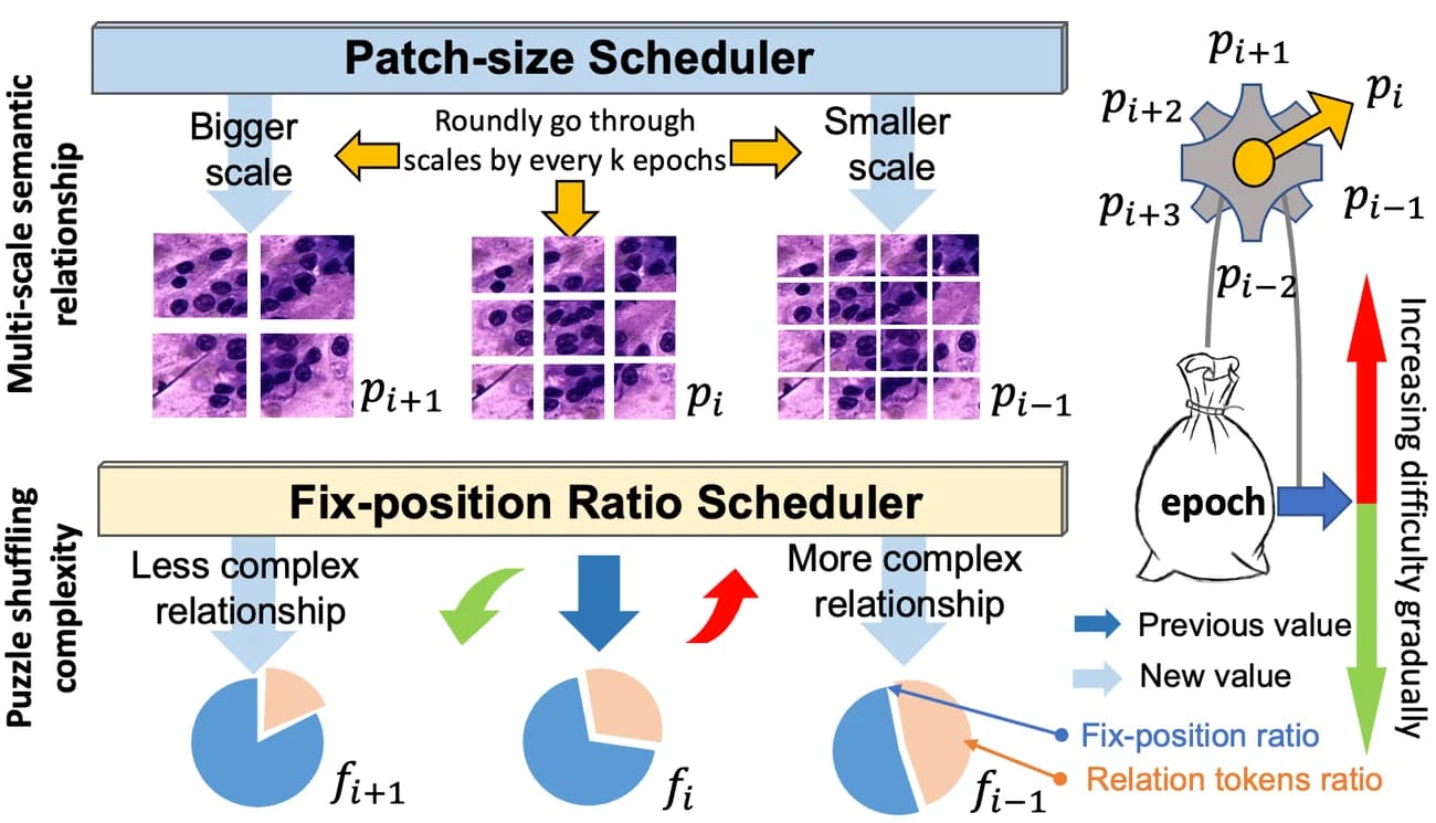 Curriculum: easy-to-hard, scale by scale