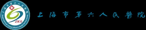 上海六院 logo
